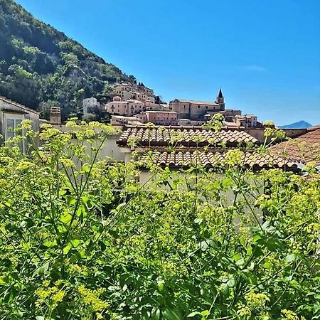 Appartamento nel cuore del centro storico Maratea Esterno foto